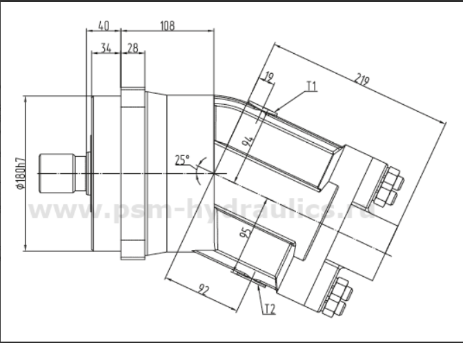 310-series-pumps_(2).png